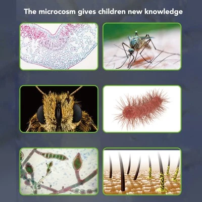 Microscope Numérique Portable à écran 3IN Microscope Numérique Portable Pour - Photo 1/4