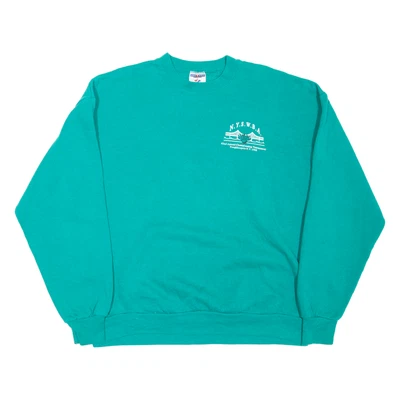 Moletom masculino JERZEES 1998 New York Bowling Championship verde anos 90 EUA GG - Imagem 1 de 4