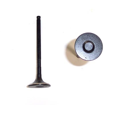 Válvula de escape del motor DNJ EV971 para modelos seleccionados de Toyota 97-10 Lexus Foto 1 de 4