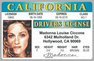 Tarjeta de licencia de cantante límite oración Like a Virgin Madonna Ciccone identificación novedosa - Imagen 1 de 1