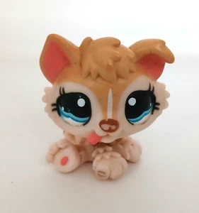 authentic LPS 1013 husky wolf dog LITTLEST PETSHOP HASBRO PUPPY BABY BÉBÉ CHIOT - Picture 1 of 2