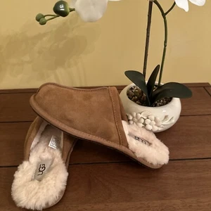 UGG nuova con scatola pantofole scruff perle foderate in shearling castagno donna US 5 EU 36 - Foto 1 di 12