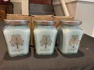Celebrating Home Eucalyptus Mint Candles (Set of 3) - Picture 1 of 2