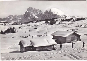 ALPE DI SIUSI COL SASSOLUNGO - BOLZANO - VIAGG. 1968 -1433- - Picture 1 of 1