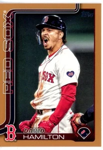 2025 Topps Series 1 - David Hamilton #199 Gold /2025 - Bild 1 von 2