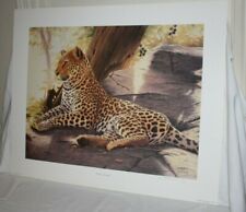Waiting Patiently by Rob MacIntosh Leopard Big Cat Wildlife Hand Signed Numbered