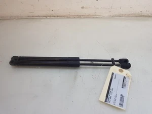VERIN A GAZ ENSEMBLE AVANT GAS STRUT SET FRONT Tesla Model 3 2020 109147200B - Imagen 1 de 4