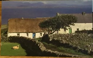 Postal irlandesa de gran tamaño cabaña de paja INISHMORE Aran Islands Insight P Zoller - Imagen 1 de 2