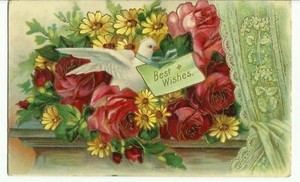 Best Wishes White Dove Red - Pink Roses & Yellow Daisies UNP Embossed Vtg DB PC