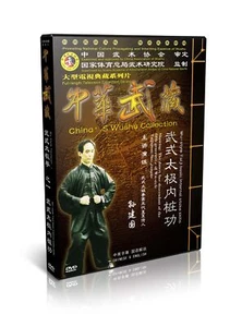 Wu Style Taijiquan Series Taiji Basic internal Stake Skills - Sun Jianguo 2DVDs - Picture 1 of 1