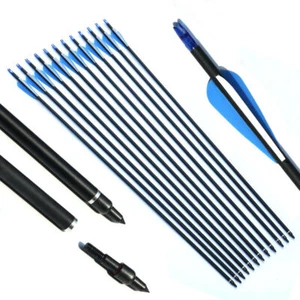 12Pcs Hunting 30" Carbon Arrows Spine500 7.8mm for Compound Recurve Bow Shooting - Picture 1 of 15