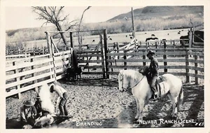 # K580 NEVADA COWBOYS ECHTFOTO POSTKARTE, " BRANDING " - Bild 1 von 2