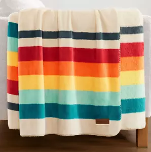 Pendleton Soft Plush Throw Mount Foraker 50" x 70" Multicolor Colorful Stripes - Picture 1 of 4