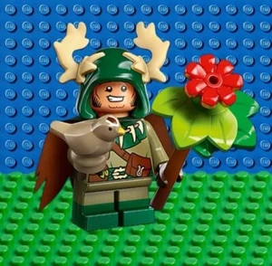 LEGO Dungeons & Dragons Halfling Druid Minifigure (71047) New Sealed Box - Picture 1 of 3