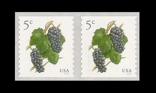 US 5038 Grapes 5c coil pair MNH 2016 - Image 1 of 1