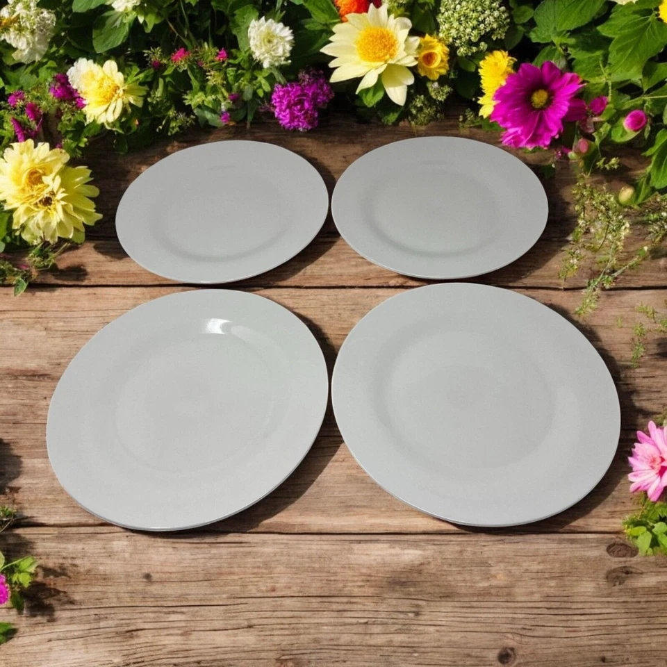 Juego de 4 platos de cena de porcelana Oneida Porter aptos para lavavajillas y microondas de 10" Foto 1 de 4