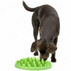 Innovative Dog Bowl Encourage Slower Eating Different Height Shapes Easy Clean