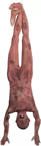 Halloween Cuerpo Muerto Sangriento, 4.6 Pies Látex Piel Cuerpo Completo Colgante Cadáver Torso - Imagen 1 de 8