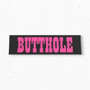 BUTTHOLE Bumper Sticker - Music Promo Vintage Style Vinyl Decal 80s 90s - Picture 1 of 4