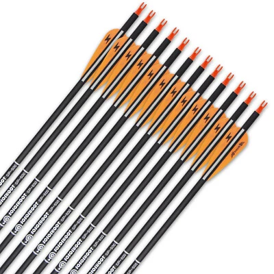 12Pcs 30 Inch Carbon Arrows Spine 500 Compound Recurve bow Archery  Hunting - Image 1 of 4