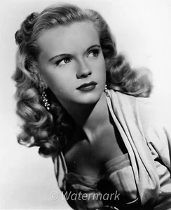 FOTO PUBLICITARIA 8X10 de colección celebridades actriz de Broadway Anne Francis - Imagen 1 de 1