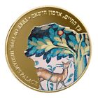 Tree of Life Gold Israel Medal 1oz Ancient Mosaic Holy Land