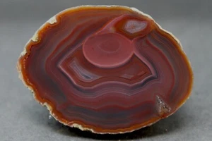 Condor agate collector specimen from a new location. LL38 - Picture 1 of 3