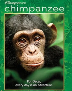 35mm Feature Film Movie Trailer Preview “ Chimpanzee “ - Picture 1 of 10