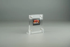 Acryl Aufsteller, Displayständer für Neo Geo Pocket Modul - Picture 1 of 3