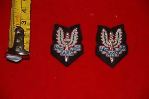 BRITÁNICO/RHODESIAN AUSTRALIANO CUELLO SERVICIO AÉREO ESPECIAL INSIGNIAS VESTIDO SAS DESORDEN - Imagen 1 de 1