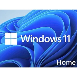 Microsoft Software Licensing Windows 11 Home 64-Bit (OEMW1164B1PK) - Picture 1 of 1