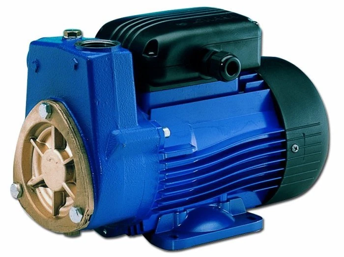 ELETTROPOMPA PERIFERICA AUTODESCANTE LOWARA SP5 SP 5 0,75 HP AUTOCLAVE POMPA