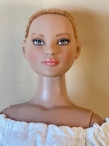 22" Tonner American Model ~ TLC Haircut - Picture 1 of 6