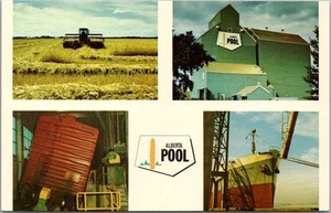 Vintage 1960s CANADA Agriculture / Farming Postcard "ALBERTA WHEAT POOL PROGRAM" - Picture 1 of 2