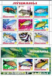 Stamp sheet+block Lucians Fishes Coral Fishes 2021 South Ossetia issue - Picture 1 of 1