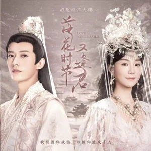 Chinese Drama love never fails Chinese Sub 落花时节又逢君 Boxed 2025 - Picture 1 of 3