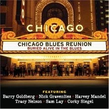 Buried Alive in... von Chicago Blues Reunion | CD | Zustand sehr gut - Bild 1 von 2