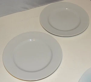 CRATE & BARREL White Rimmed Salad Plate JAPAN Set of 2 - Picture 1 of 7
