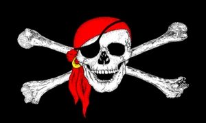 NEW Bandanna Pirate Skull Replacement Flag ATV Bicycle Rhino UTV - Picture 1 of 2