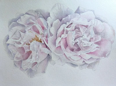 Original Painting Flower PINK ROSE Artwork Landscape Garden Floral Art Signed A4 - Image 1 of 4