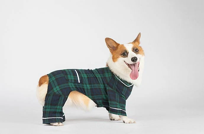 Pijama de franela azul y verde a cuadros para perro hogar de abejas y sauces Foto 1 de 1