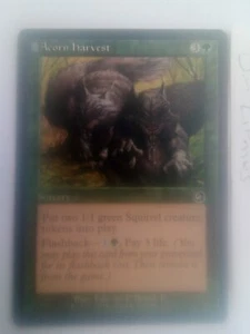 1x Acorn Harvest Torment MTG Great Condition - Picture 1 of 2