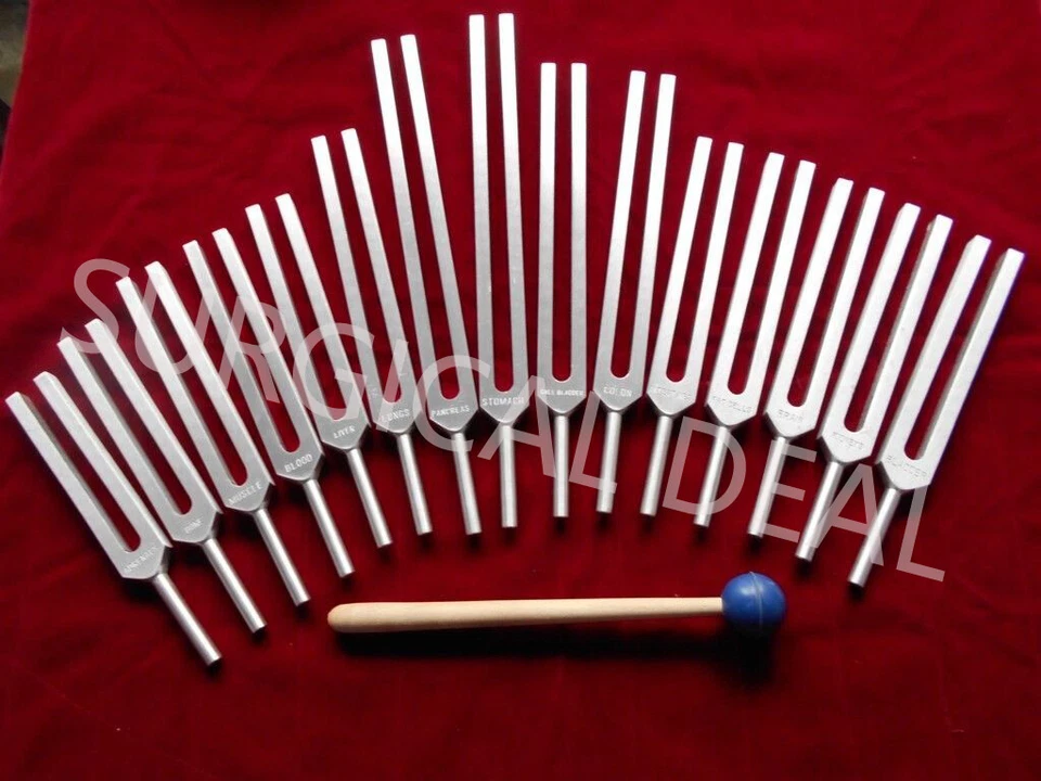 Juego de 15 diapasones de curación terapéutica de órganos humanos con mazo y bolsa Foto 1 de 1