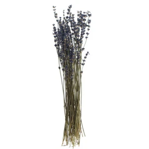 Lavanda azul natural, aprox. 20 g, L aprox. 30 cm - Imagen 1 de 12