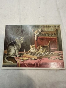 1890 Trade Card Metropolitan Life Insurance Cat & Kittens on Chessboard - Picture 1 of 5