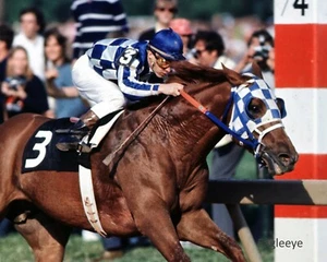LOT of 2 SECRETARIAT 8 X 10 PHOTOS Ron Turcotte Horse Racing Preakness Belmont - Picture 1 of 3