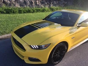 MUSTANG FADED Strobe CENTER HOOD Stripe Decal Stripes 2015 2016 2017 18 19 2020 - Picture 1 of 2