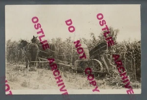 Minnesota RPPC 1910 MAISERNTE Farm Landwirtschaft PFERDEPFLÜCKER Kombination neuwertig - Bild 1 von 3