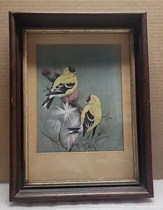 VINTAGE FRAMED Gold Finches PRINT JOHN W TAYLOR CABIN DECOR GIFT - Picture 1 of 3