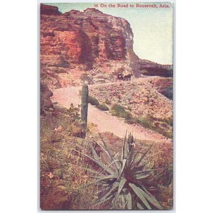 Postcard On the Road to Roosevelt Arizona Desert Scene c1910 - Picture 1 of 3